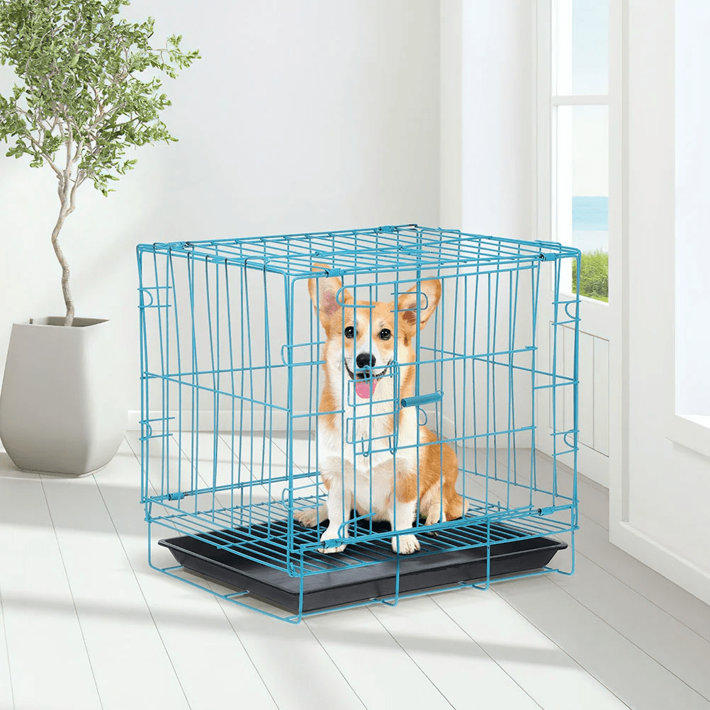 Cage en métal turquoise pour petits chiens, avec fond amovible, idéale pour le transport ou la maison.