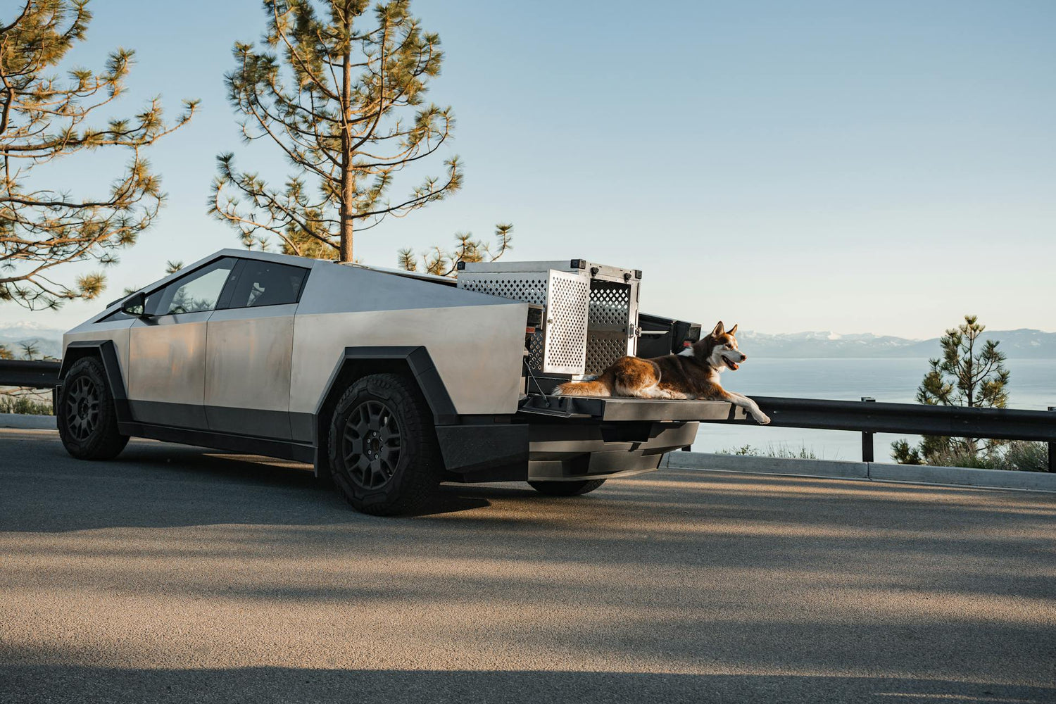 Un véhicule Tesla Cybertruck argenté est stationné sur une route de montagne pavée avec une ligne jaune centrale. Deux chiens sont visibles dans des cages à l'arrière du Cybertruck. L'image a été ajoutée le 21 février 2025 et est au format JPG avec une résolution de 1920x1280.