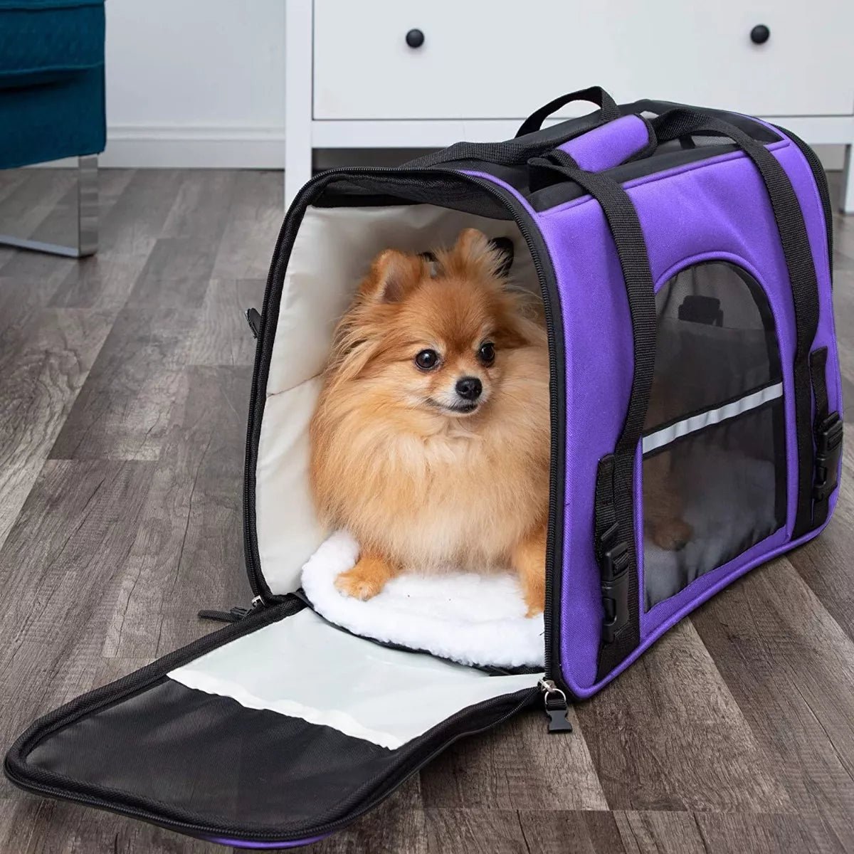 Sac de Transport pour Chien - DogCarrierBag™ - Violet - Le chien voyageur - Sac de Transport pour Chien - DogCarrierBag™ - Violet